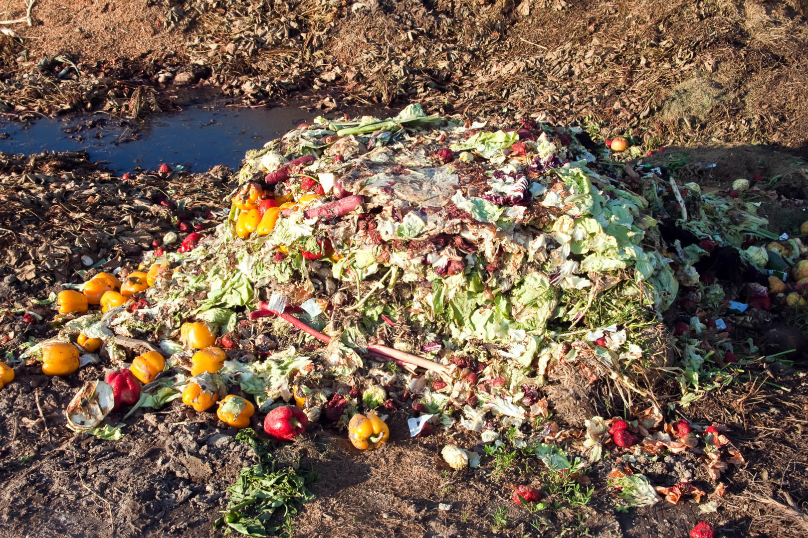 Food Waste Collection RiverRidge